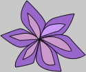 flower picture